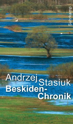 Beskiden-Chronik (eBook, ePUB) - Stasiuk, Andrzej