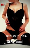 Lara auf dem Strafbock (eBook, ePUB)