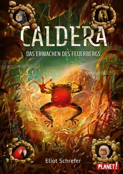 Das Erwachen des Feuerbergs / Caldera Bd.3 (eBook, ePUB) - Schrefer, Eliot