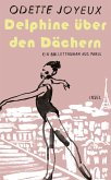 Delphine über den Dächern (eBook, ePUB)