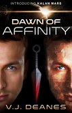 Dawn Of Affinity (eBook, ePUB)