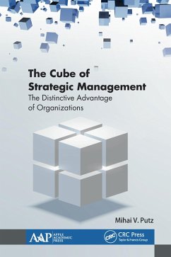 The Cube of Strategic Management (eBook, PDF) - Putz, Mihai