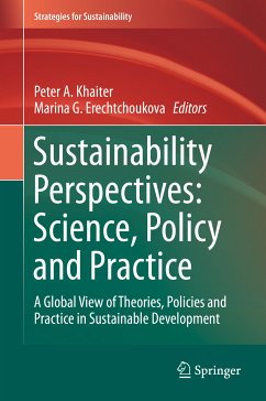 Sustainability Perspectives: Science, Policy and Practice (eBook, PDF)