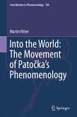 Into the World: The Movement of Patočka's Phenomenology (eBook, PDF)