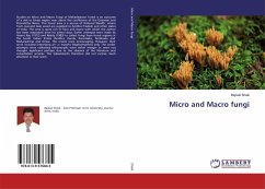 Micro and Macro fungi