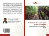 Traitement des eaux usées par macrophytes