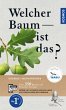Welcher Baum ist das? - Bild 1