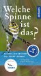 Welche Spinne ist das? - Bild 1