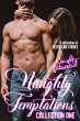 Naughty Temptations Collection One... - Bild 1
