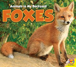 Foxes (eBook, PDF) - Carr, Aaron