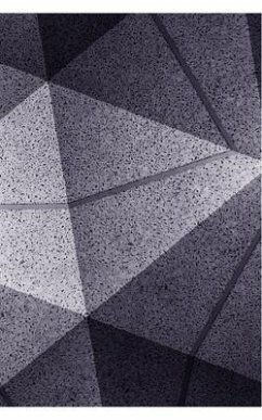 The Triangular Fold - Jackson, Curtis W