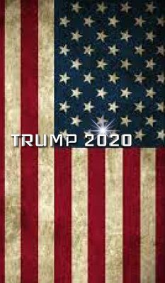 Trump American Flag 2020 Creative Journal - Huhn, Michael; Huhn, Michael
