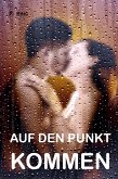 Auf den Punkt kommen (eBook, ePUB)