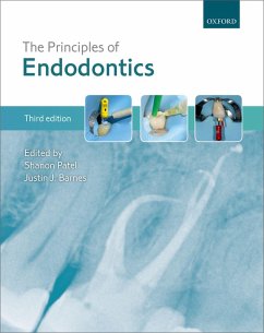 The Principles of Endodontics (eBook, PDF)