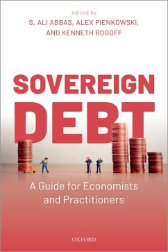 Sovereign Debt (eBook, PDF)