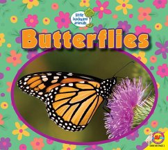 Butterflies (eBook, PDF) - Kissock, Heather