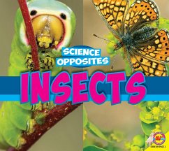 Cover Insects (eBook, PDF)