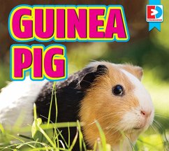 Guinea Pigs (eBook, ePUB) - Gilles, Renae