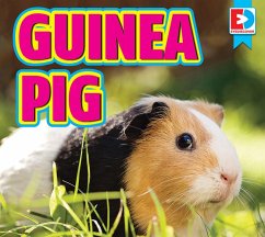Cover Guinea Pigs (eBook, ePUB)