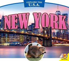 New York (eBook, PDF) - Lawton, Val