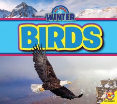 Cover Birds (eBook, PDF)