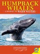 Humpback Whales: A Journey to Warm... - Bild 1