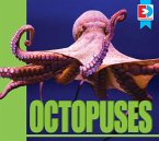 Octopuses (eBook, PDF)