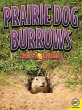 Prairie Dog Burrows (eBook, PDF) - Bild 1