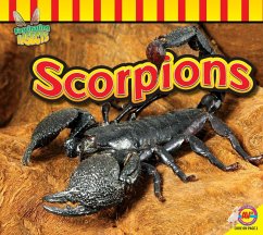 Scorpions (eBook, PDF) - Nugent, Samantha