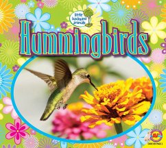 Hummingbirds (eBook, PDF) - Kissock, Heather