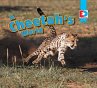 A Cheetah's World (eBook, ePUB) - Bild 1