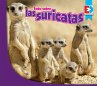 Todo sobre las suricatas (eBook, ePUB) - Bild 1