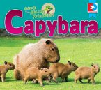Animals of the Amazon Rainforest: Capybara (eBook, PDF)