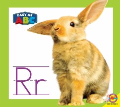 Cover Rr (eBook, PDF)