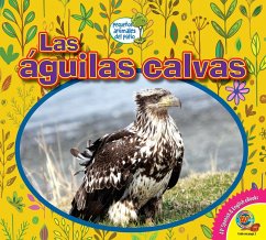 Las águilas calvas (eBook, PDF) - Kissock, Heather