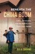 Beneath the China Boom (eBook, ePUB) - Bild 1