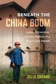 Beneath the China Boom (eBook, ePUB)
