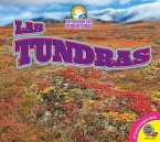 Las tundras (eBook, PDF)
