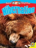 Hibernation (eBook, PDF)