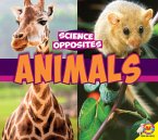 Animals (eBook, PDF)
