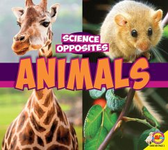 Animals (eBook, PDF) - Willis, John