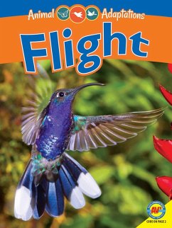 Flight (eBook, PDF) - McDowell, Pamela