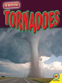 Tornadoes (eBook, PDF)