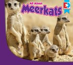 All About Meerkats (eBook, ePUB)