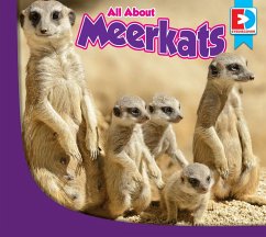 All About Meerkats (eBook, ePUB) - Whelan, Piper