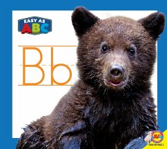Cover Bb (eBook, PDF)