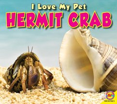 Cover Hermit Crab (eBook, PDF)