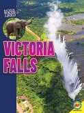 Victoria Falls (eBook, PDF)