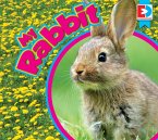 My Rabbit (eBook, ePUB)