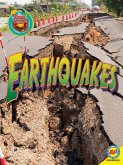 Earthquakes (eBook, PDF)